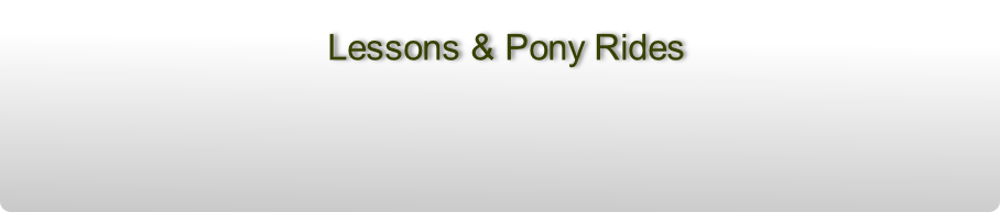 Lessons & Pony Rides
